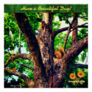 Pesquisar por esquilo de árvore pósteres pôsteres Qualquer pessoa