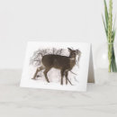 Pesquisar por fathers day cartoes Nature