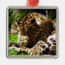 Pesquisar por gato grande ornamentos Leopardo