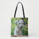 Pesquisar por dalmatian bolsas Bonito