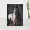 Pesquisar por cavalo ocidental cartoes postais Cor