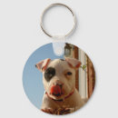 Pesquisar por de cão chaveiros Pitbull