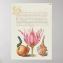 Pesquisar por vintage botanical pôsteres Flores