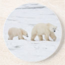 Pesquisar por urso polar porta copos Ártico