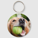 Pesquisar por tampa chaveiros Animal