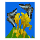 Pesquisar por borboletas azuis pôsteres Flores