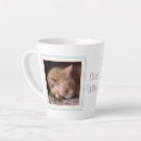 Pesquisar por gatito canecas Qualquer pessoa