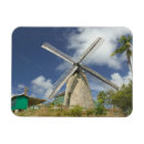 Pesquisar por barbados imas Tropical