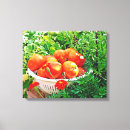Pesquisar por tomate impressão de canvas Vegetais