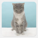 Pesquisar por tapete tapete adesivos Humor