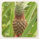 Pesquisar por abacaxi tropical porta copos Verde