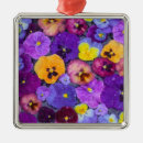 Pesquisar por flor do amor perfeito ornamentos Roxo