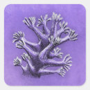 Pesquisar por reef adesivos Coral