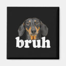 Pesquisar por funny dog imas Mulheres
