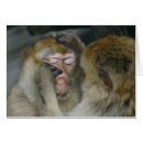 Pesquisar por fada de dente cartoes Humor