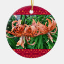 Pesquisar por tiger ornamentos De natal