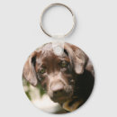 Pesquisar por chocolate chaveiros Cão