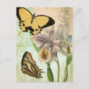 Pesquisar por borboleta tropical cartoes postais Jardim