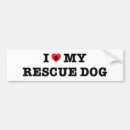 Pesquisar por cachorros adesivos carros For pets