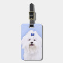 Pesquisar por cão maltês bagagem tags Branco