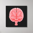 Pesquisar por sistema nervoso humano impressão de canvas Anatomia