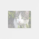 Pesquisar por eu pet cartoes convites For her