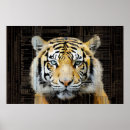 Pesquisar por tiger pôsteres Pintura