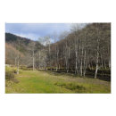 Pesquisar por natur pósteres pôsteres Montanha