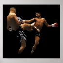 Pesquisar por muay thai pôsteres Kickboxing