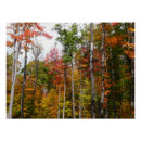 Pesquisar por floresta pôsteres Vermelho