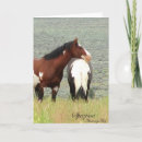 Pesquisar por mustang americano Equino