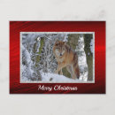 Pesquisar por lobos selvagens cartoes postais Foto