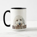 Pesquisar por standard canecas Cão