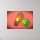 Pesquisar por médico impressão de canvas Ilustrações biomedicáveis