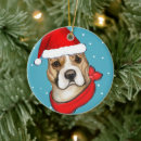 Pesquisar por american staffordshire terrier ornamentos Natal