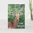 Pesquisar por cerveja cartoes Veado