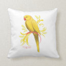 Pesquisar por papagaio indiano ringneck Papagaios