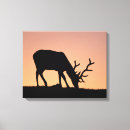 Pesquisar por antlers impressão de canvas Rocky mountain national park