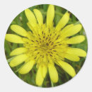 Pesquisar por flores amarelas adesivos Flor silvestre