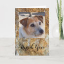 Pesquisar por cute cartoes Create your own