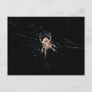 Pesquisar por aranha cartoes postais Natureza