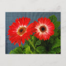 Pesquisar por gerbera cartoes postais Primavera