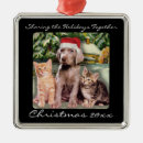 Pesquisar por cão weimaraner ornamentos Animal de estimação