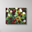 Pesquisar por tulipa amarela impressão de canvas Jardim