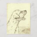Pesquisar por drawing cartoes postais Dog