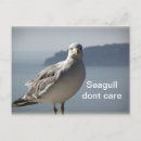 Pesquisar por gaivotas cartoes postais Natureza