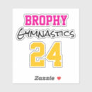 Pesquisar por esporte adesivos Cores da equipe