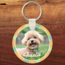 Pesquisar por cachorrinhos chaveiros Dogs