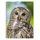 Pesquisar por owl cadernos de notas Selvagem