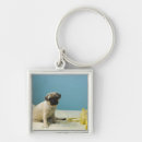 Pesquisar por filhote de cachorro do chaveiros Horizontal